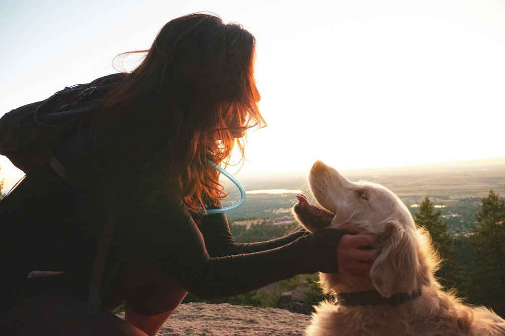 lady and her dog hiking