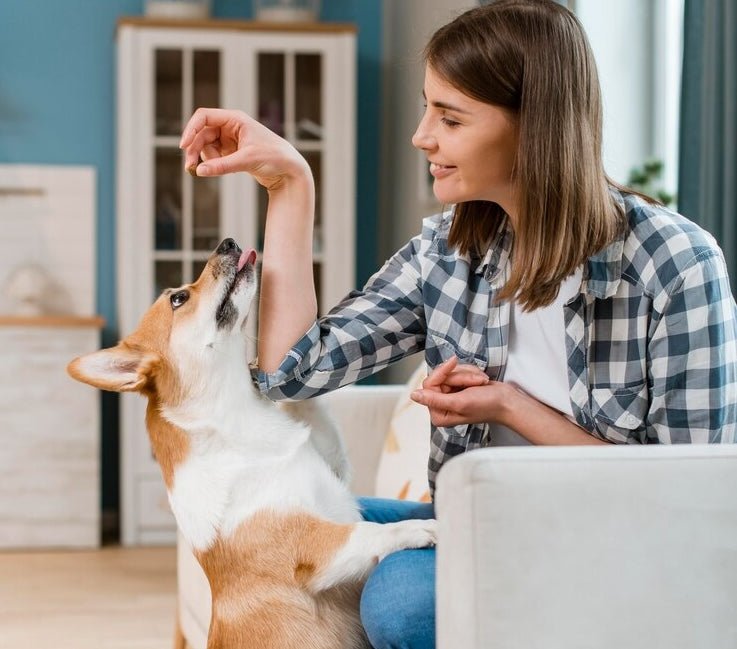 pill pockets for dogs with lady and dog