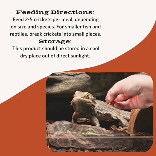 Fluker's Freeze Dried Crickets 1.2 oz