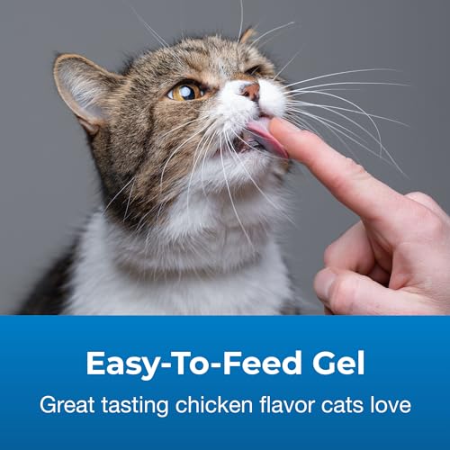 PetAg Vitamin & Mineral Gel Supplement for Cats