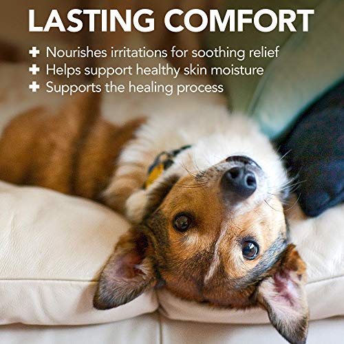 Vet's Best Hot Spot Itch Relief Dog Shampoo, 16 oz