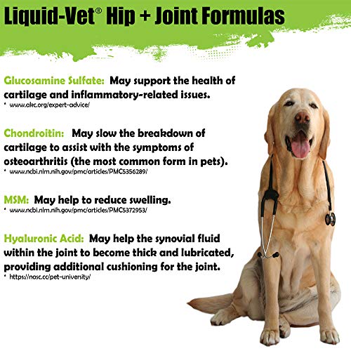 Liquid Vet K9 Hip & Joint Advanced Formula, Chicken Flavor, 8 oz Trial Pack