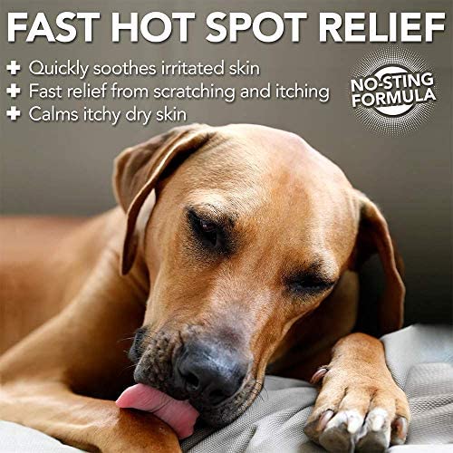 Vet's Best Hot Spot Itch Relief Dog Shampoo, 16 oz