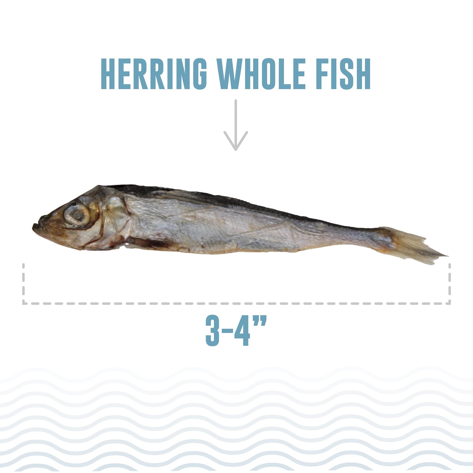 Icelandic+ Fish Treat - Herring Whole Fish 9 oz