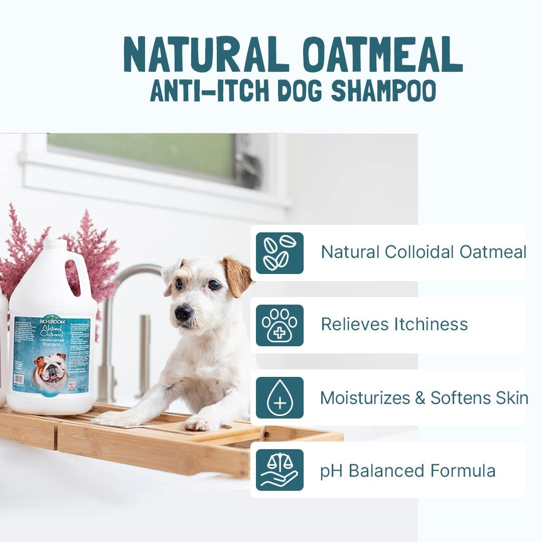 Bio-Groom Natural Oatmeal Shampoo 12oz