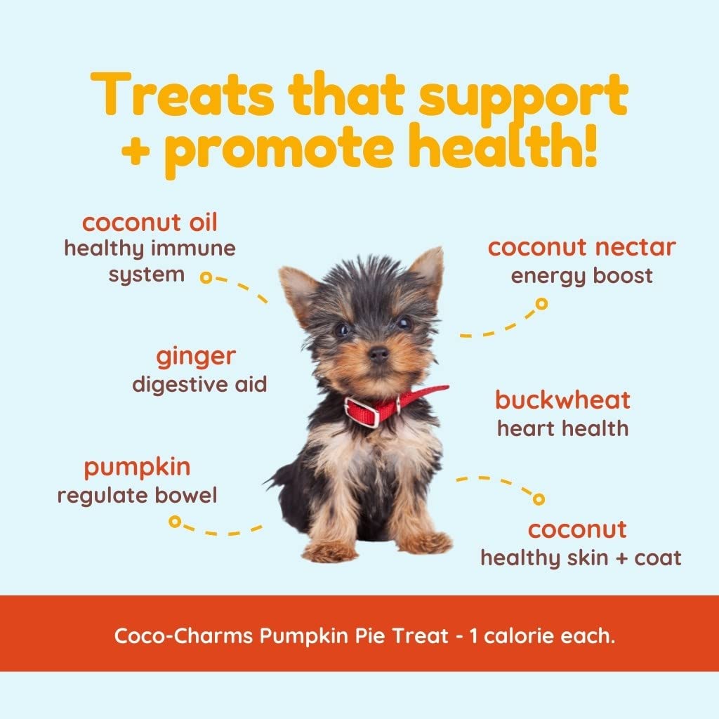 Cocotherapy Coco-Charms Training Treats – Pumpkin Pie 5 Oz.