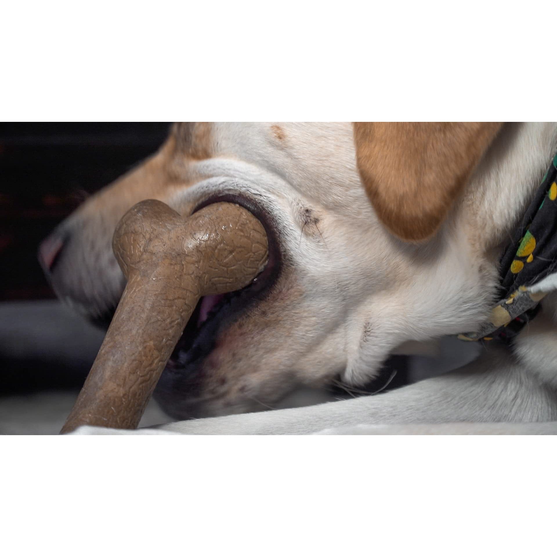 Hero Bonetics Femur Bone Designed for Extra Large Dogs Bacon Flavor