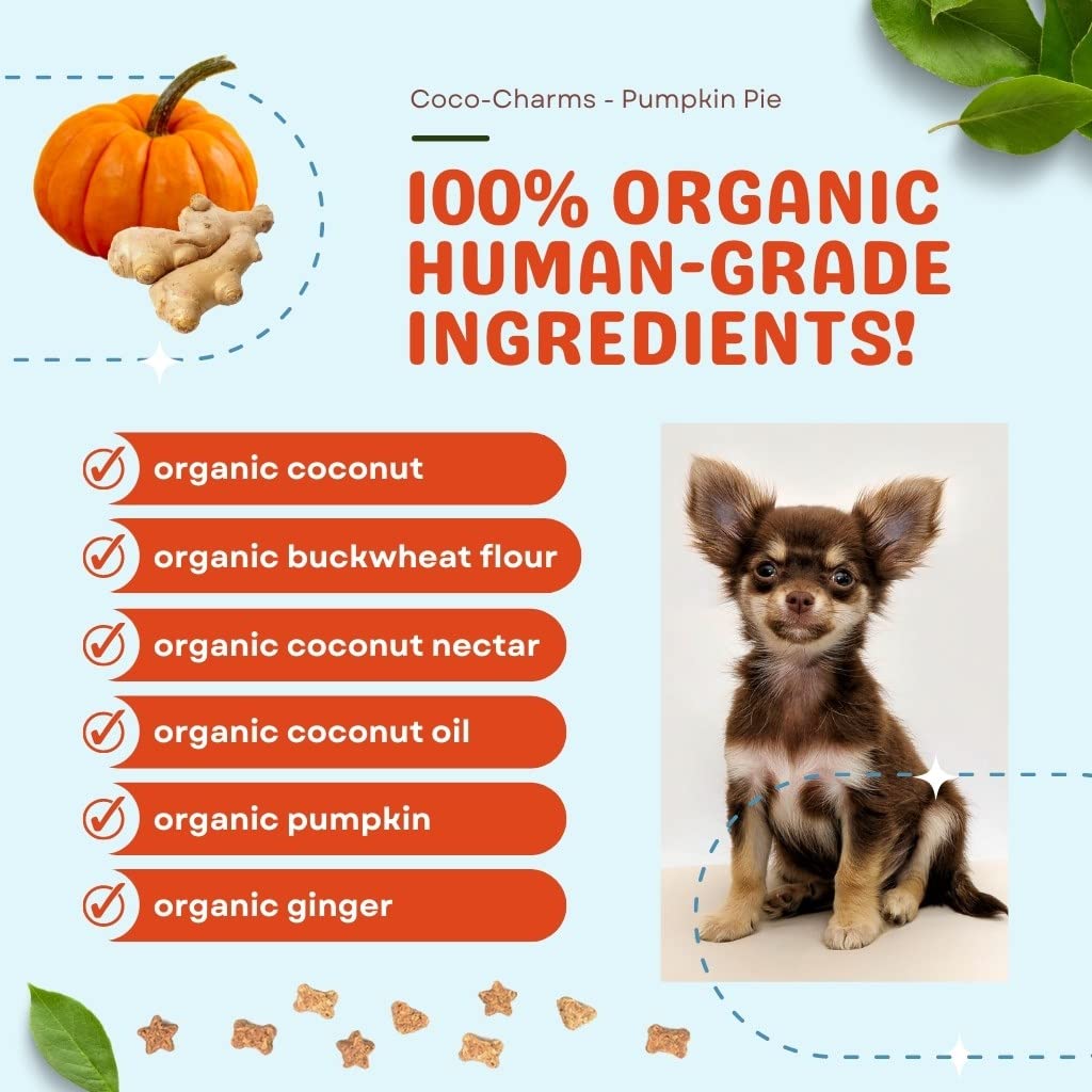 Cocotherapy Coco-Charms Training Treats – Pumpkin Pie 5 Oz.