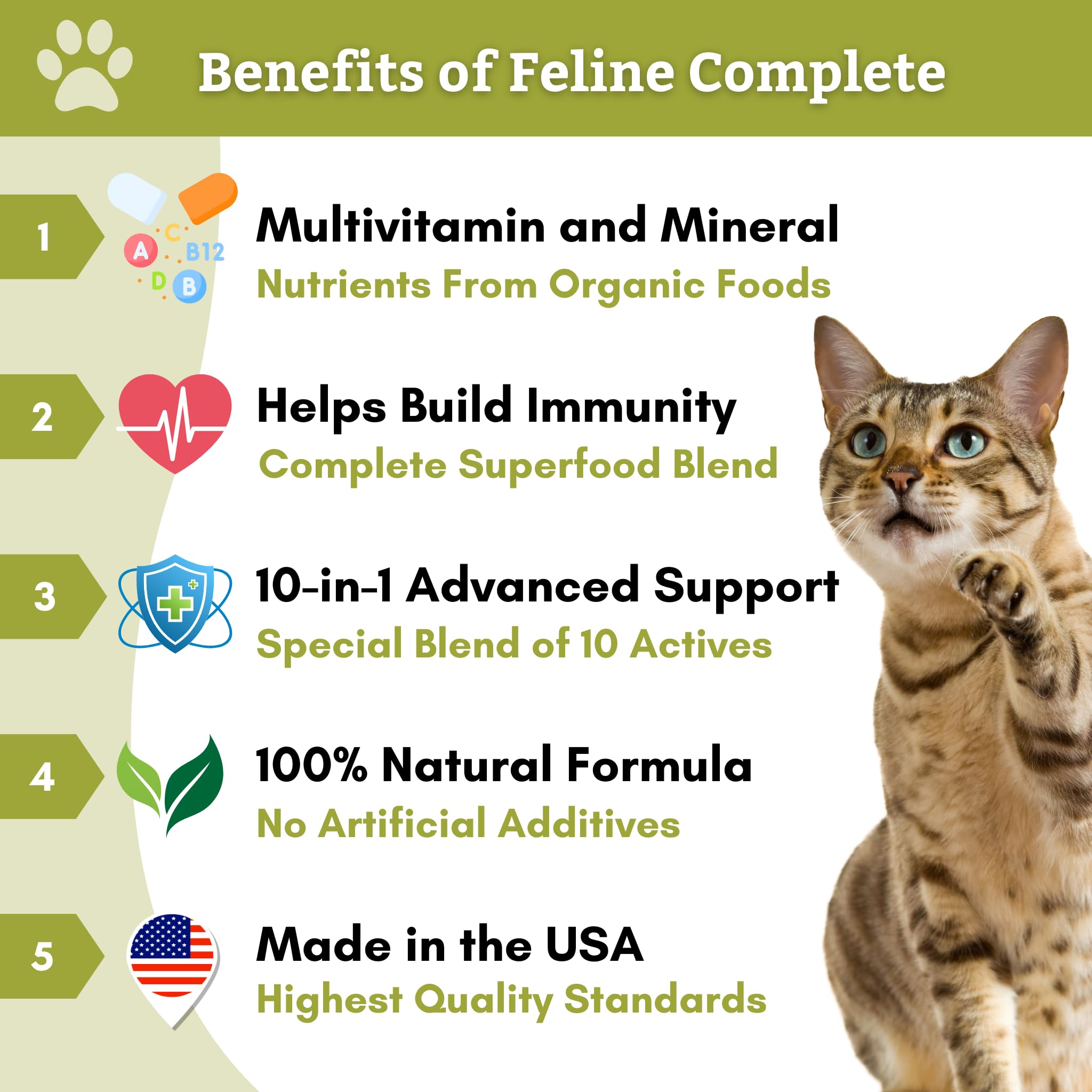 Wholistic Pet Organics Feline Complete: Cat Multivitamins, 60 grams