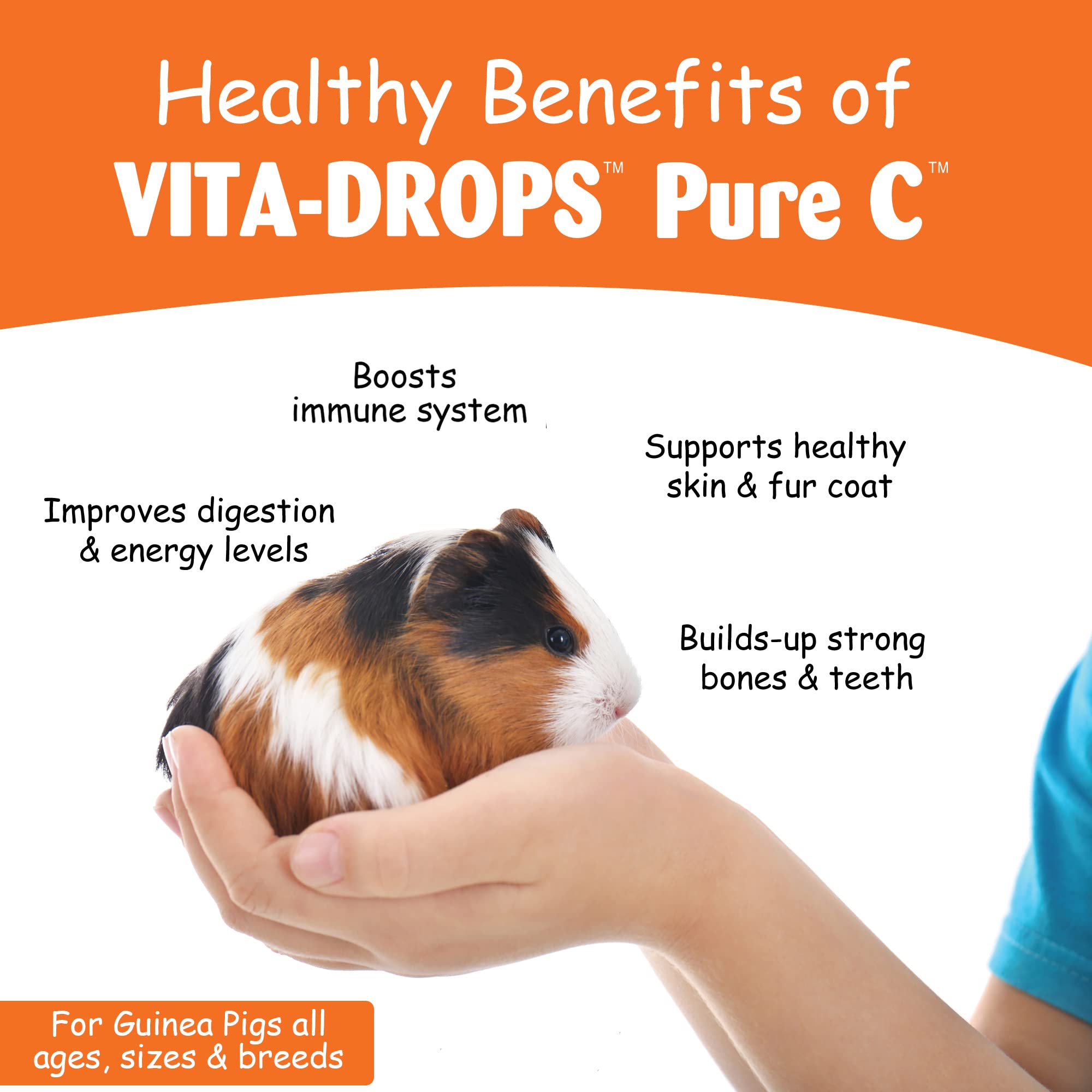 Kordon Oasis Guinea Pig Vita Drops Pure C 2oz