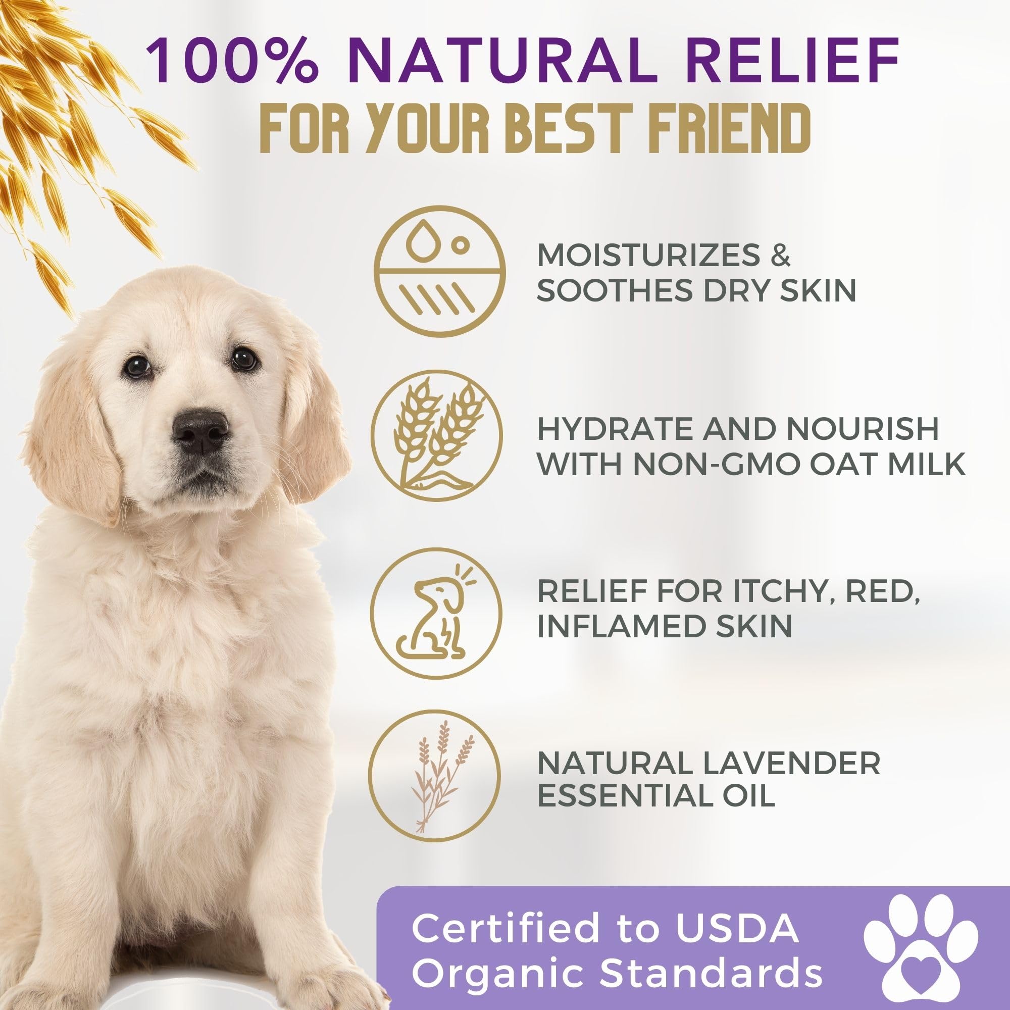 4-Legger Organic Oatmeal w/ Aloe & Lavender Dog Shampoo 16 oz