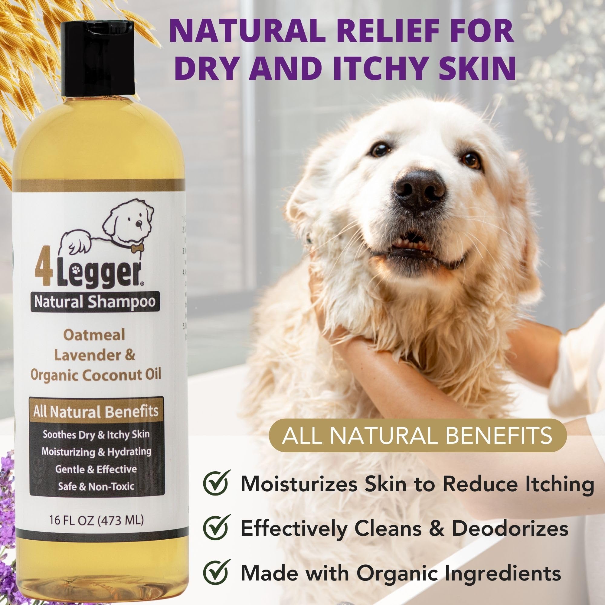 4-Legger Organic Oatmeal w/ Aloe & Lavender Dog Shampoo 16 oz