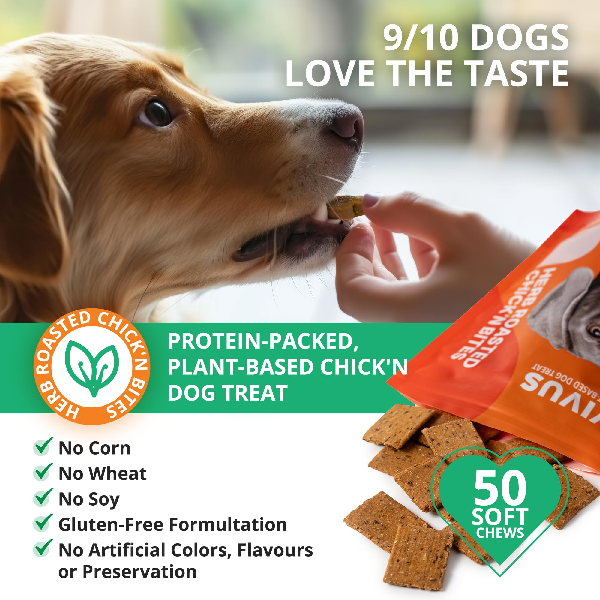 Vivus Pets Plant Based Dog Treats - Skin & Coat 100g