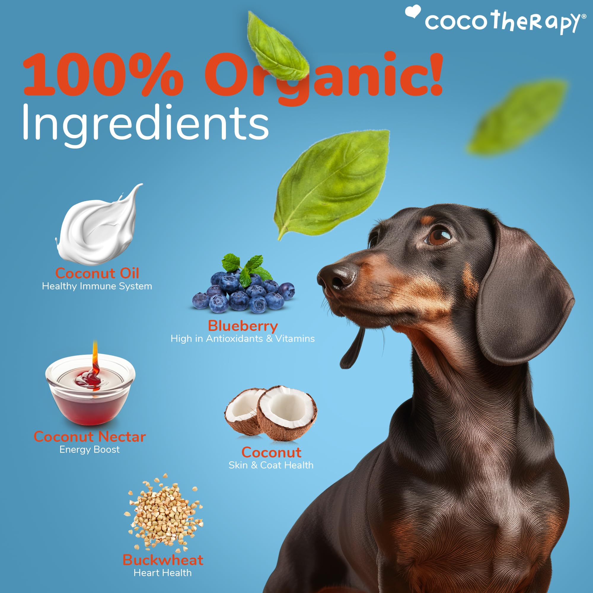 Cocotherapy Coco-Charms Blueberry Cobbler - Organic Dog Training Treats 5oz