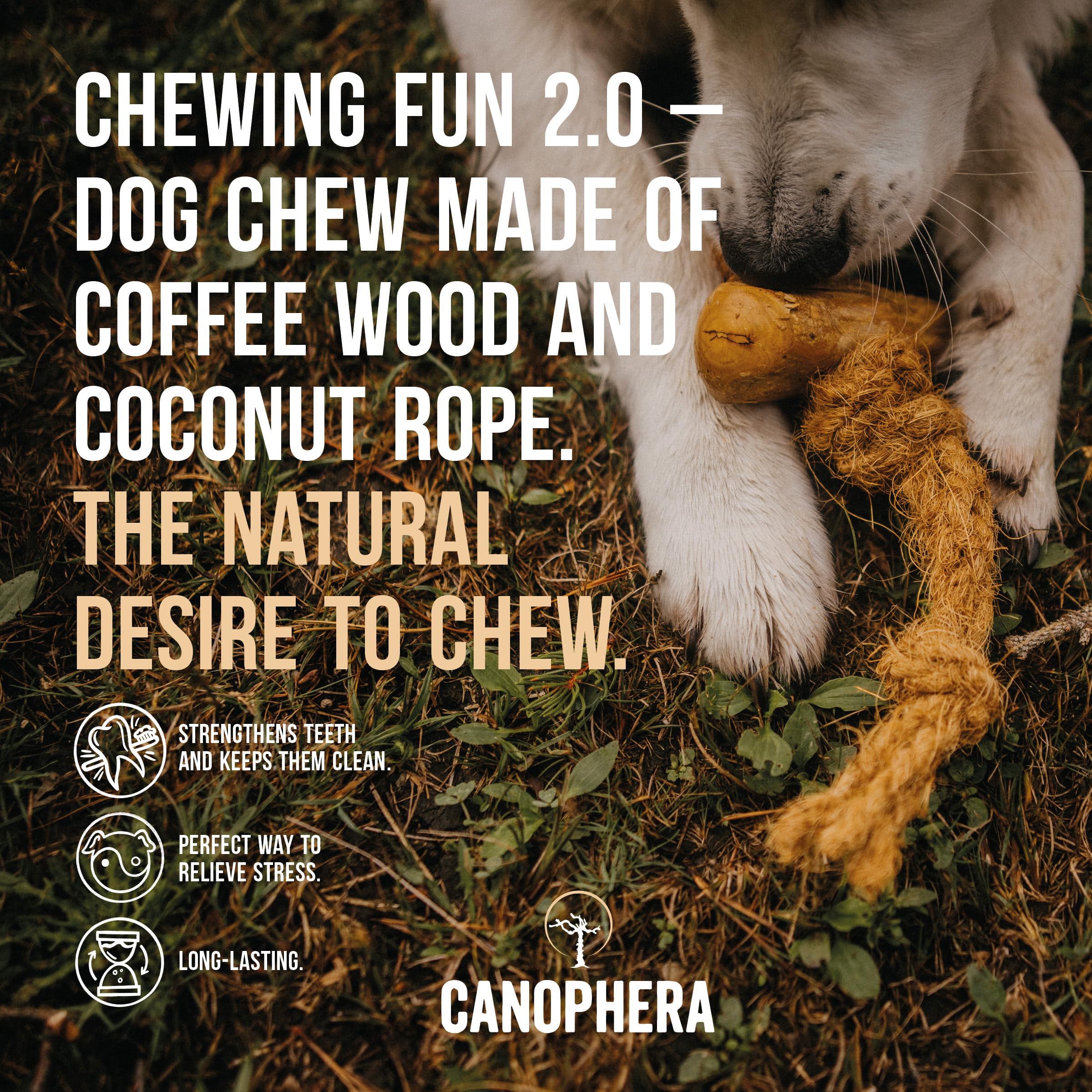 Canophera Dog CHEW Coffee Wood Coconut Rope Large Gritty Pet Co