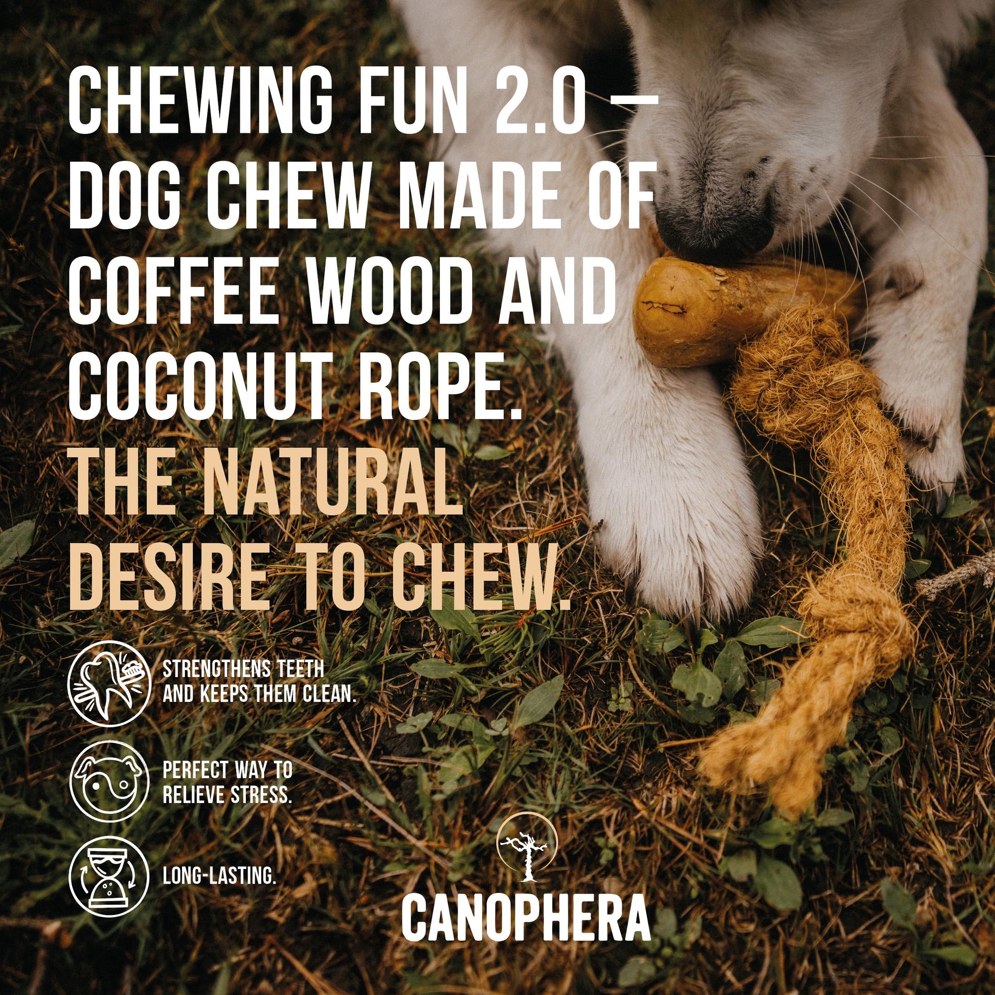 Canophera Dog CHEW Coffee Wood & Coconut Rope (Large)