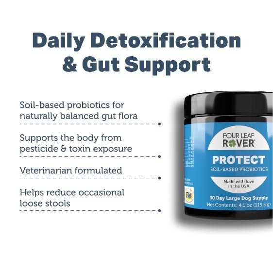 Four Leaf Rover Protect - Soil-Based Probiotic Gut Health & Immune Support