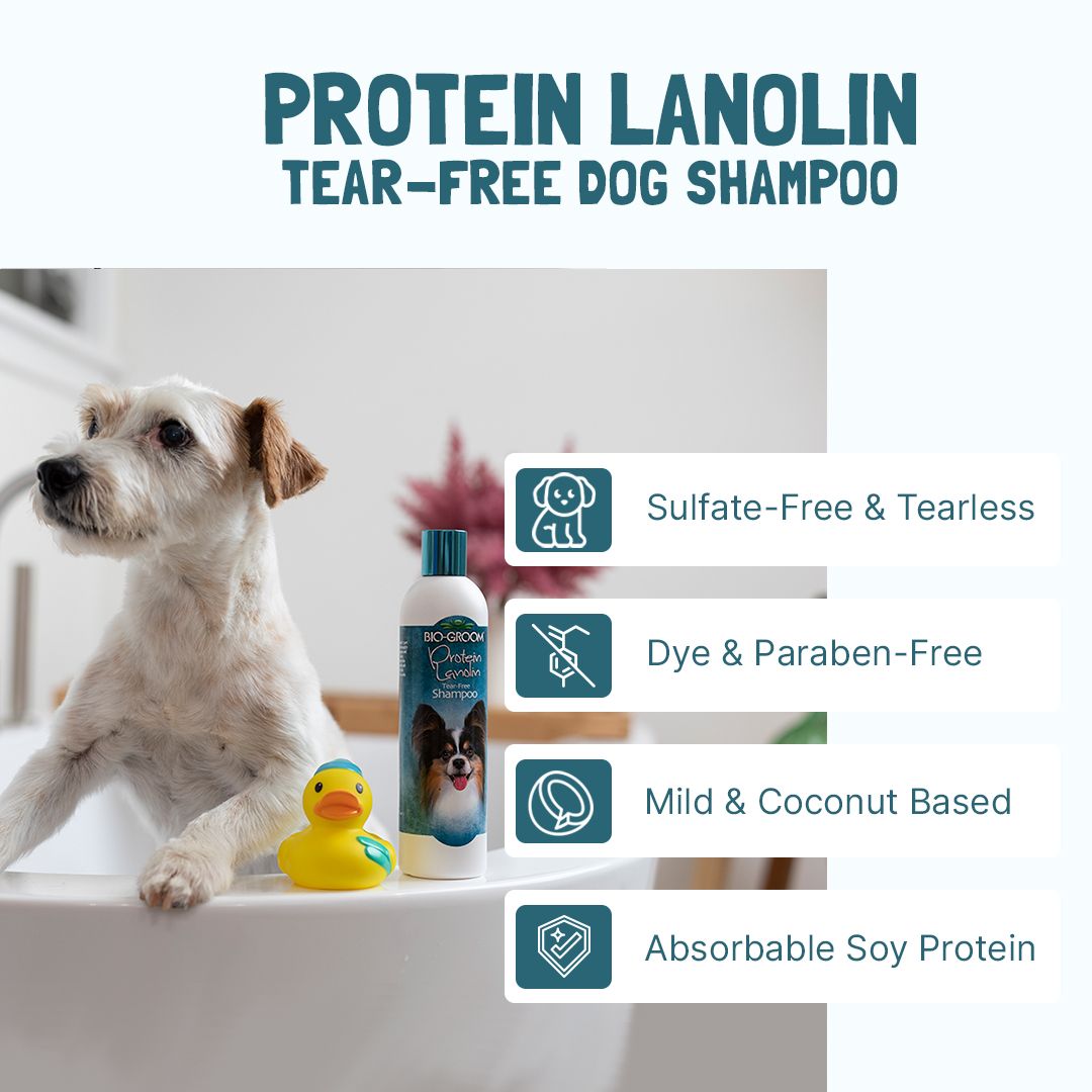 Bio-Groom Protein Lanolin Tearless Shampoo 12oz